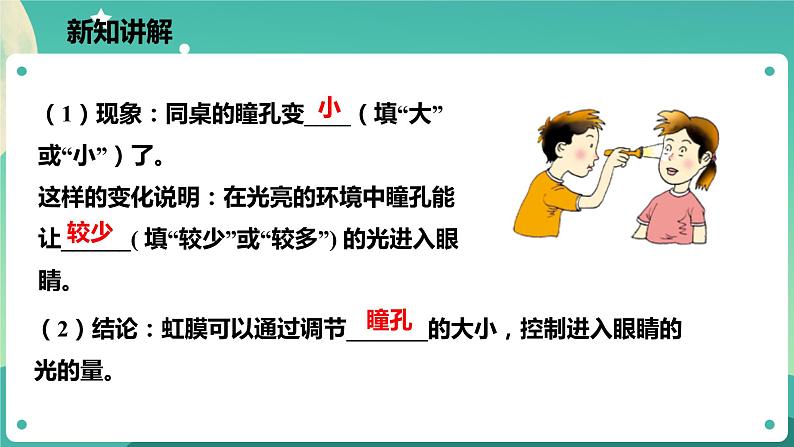 2.6透镜和视觉 第3课时 课件+教案+学案06