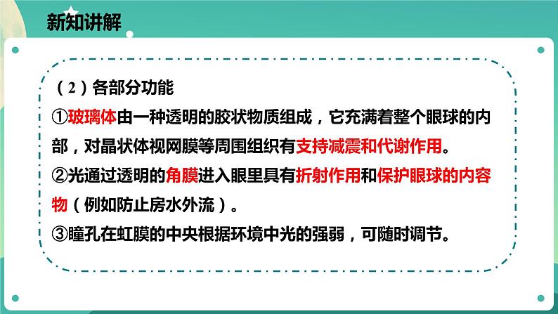 2.6透镜和视觉 第3课时 课件+教案+学案08