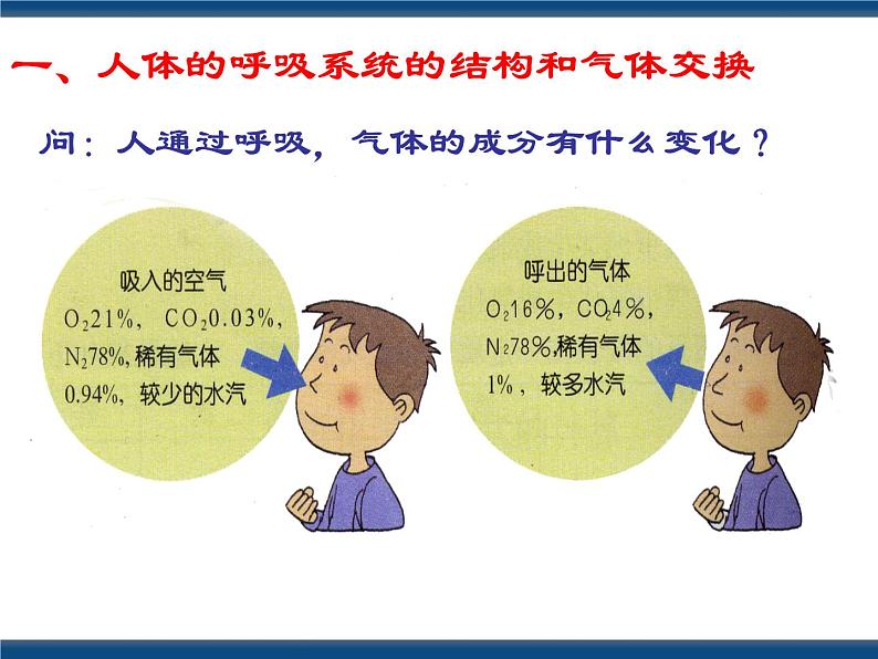 3.5 生物的呼吸和呼吸作用(课件 )第2页