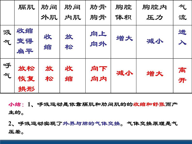 3.5 生物的呼吸和呼吸作用(课件 )第8页