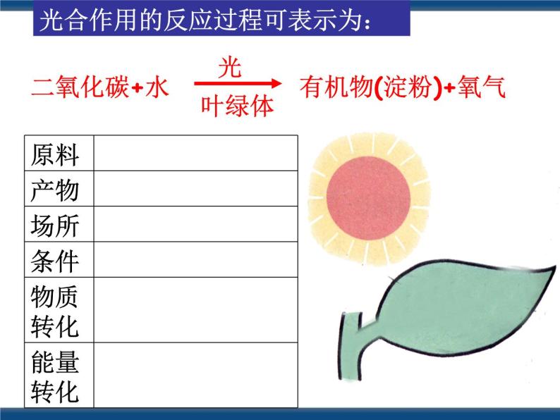 3.6光合作用（课件+视频素材）03