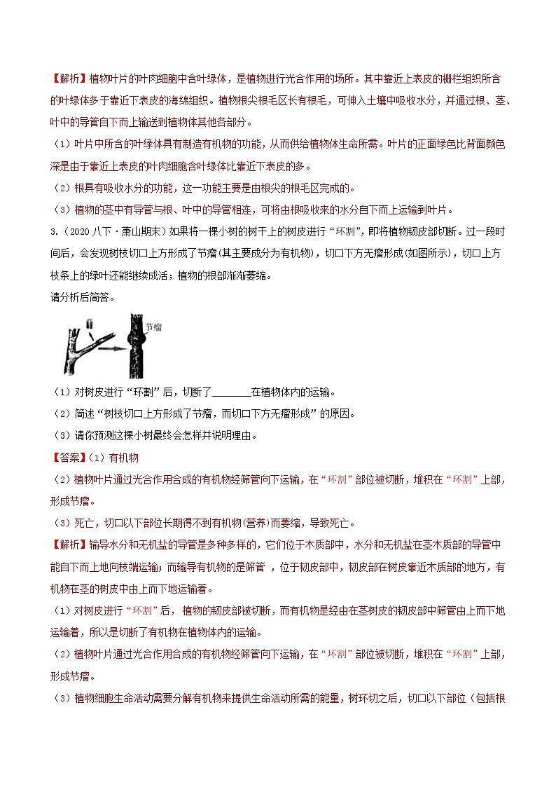 八下尖子生培優(yōu) 4.4-4.6 解答題精選(解析)第2頁