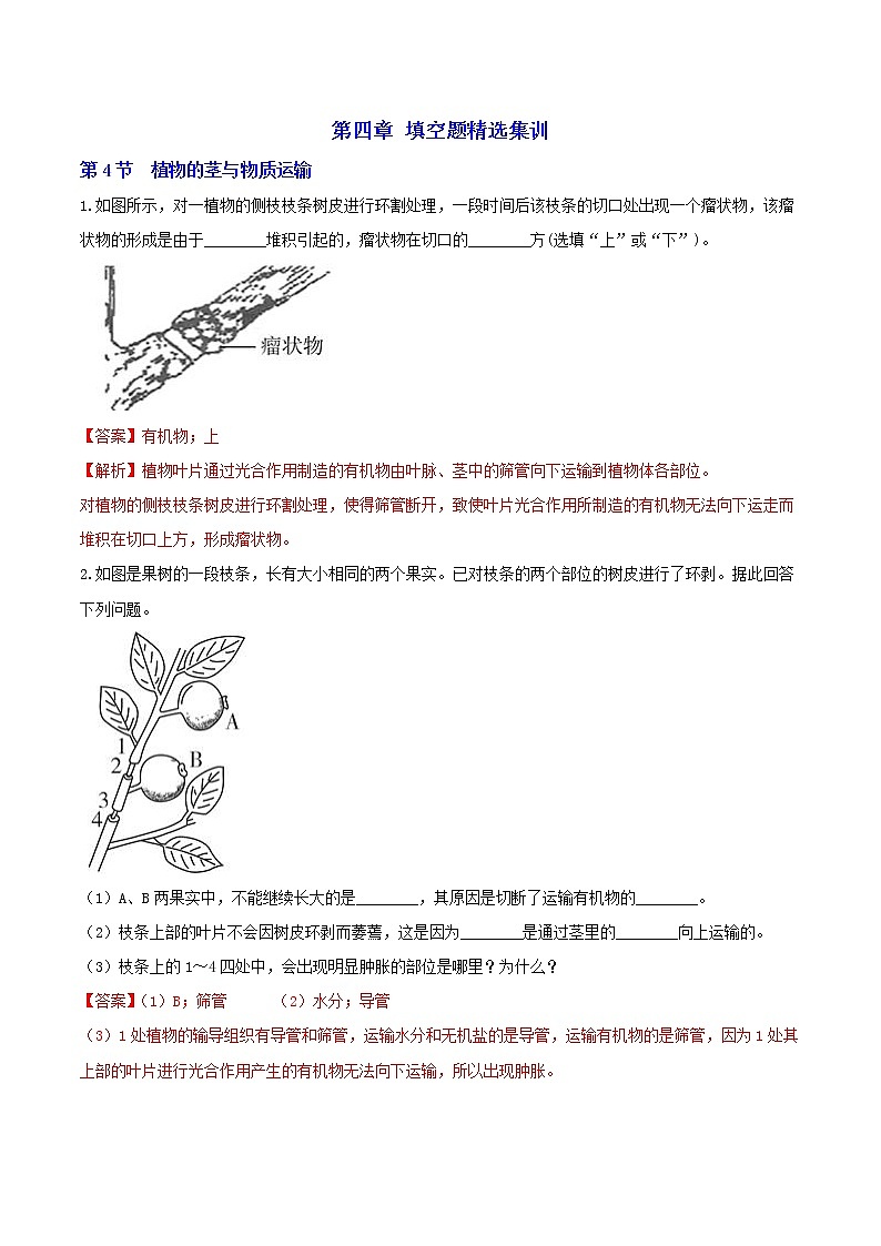 八下尖子生培優(yōu) 4.4-4.6 填空題精選(解析)第1頁
