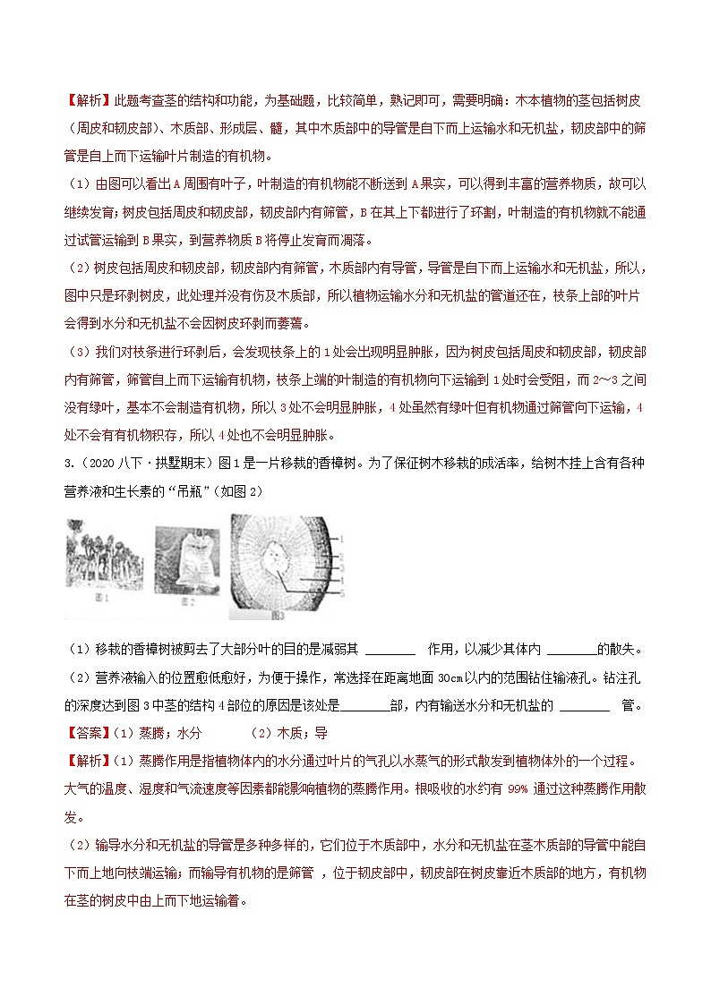 八下尖子生培優(yōu) 4.4-4.6 填空題精選(解析)第2頁