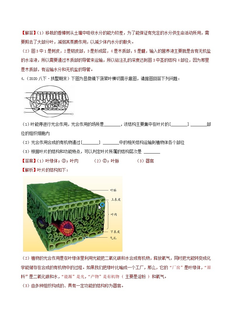 八下尖子生培優(yōu) 4.4-4.6 填空題精選(解析)第3頁