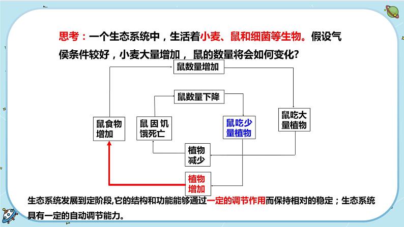 2.5 生态系统的稳定性(课件PPT)03