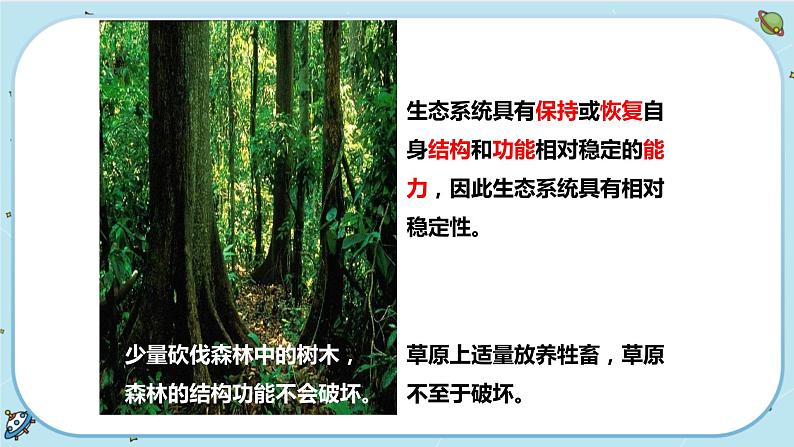 2.5 生态系统的稳定性(课件PPT)04