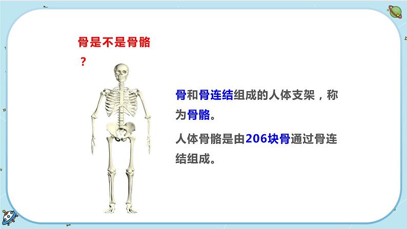 3.5 人的运动系统和保健(课件PPT)05