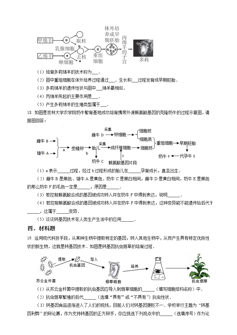 1.5《遗传与进化 第2课时》PPT课件+教案+练习+素材 浙教版九年级科学下册03