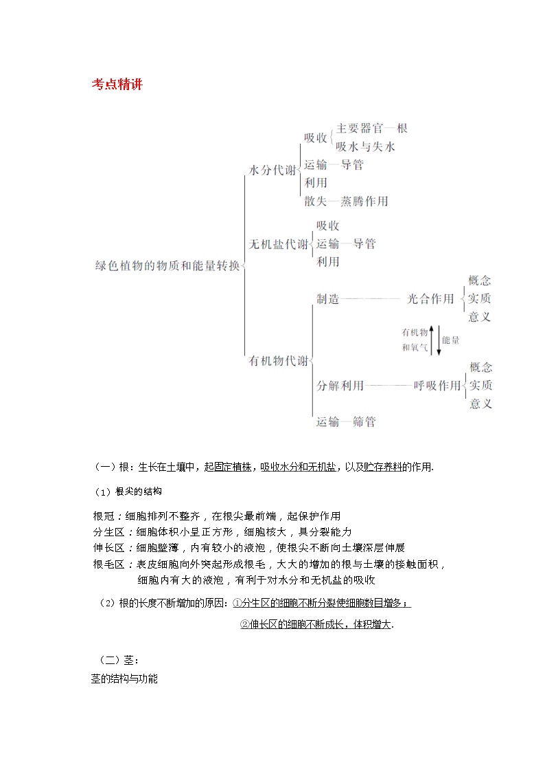 备战2023新中考二轮科学专题导练 考点02 绿色植物的新陈代谢