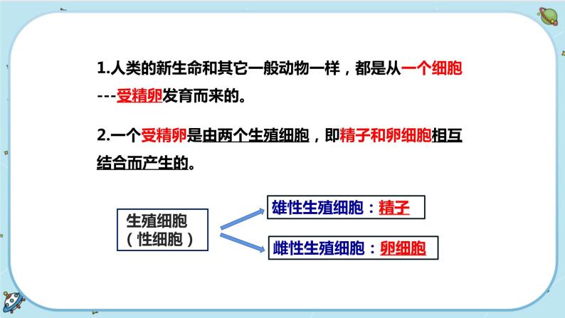 1.1 新生命的诞生（课件PPT+练习含答案）03