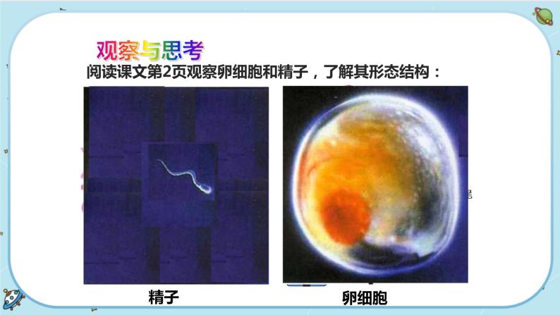 1.1 新生命的诞生（课件PPT+练习含答案）04