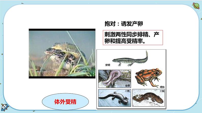 课时2第5页
