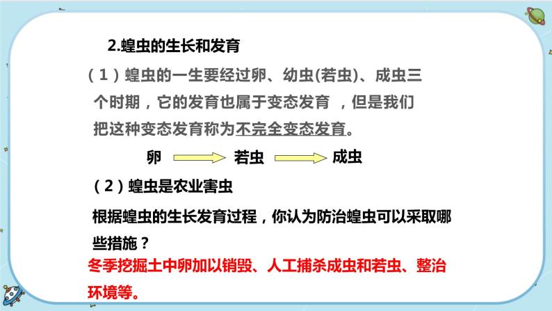 1.3 动物的生长时期（课件PPT+练习含答案）04