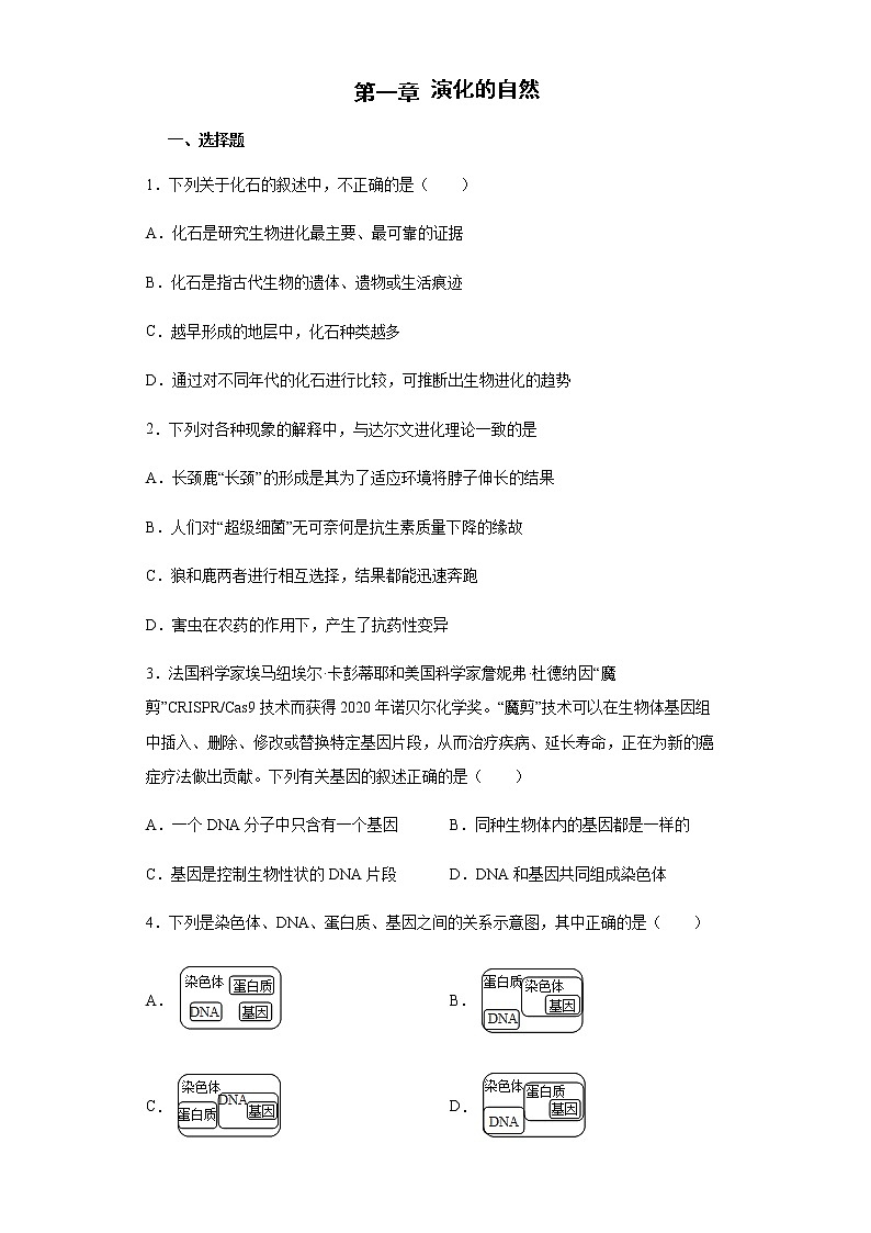 初中科学浙教版九年级下册第1章 演化的自然 综合训练(含答案)01