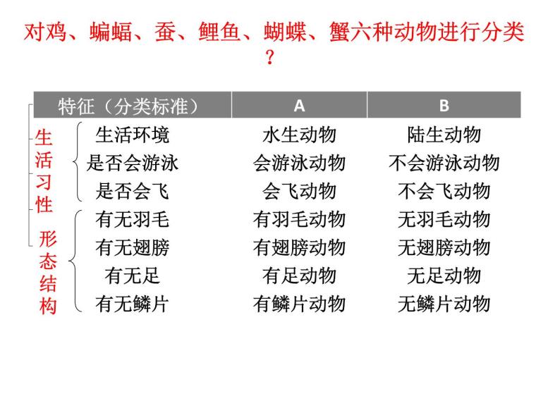 2022-2023学年浙教版科学七年级上册2.4常见的动物课件07