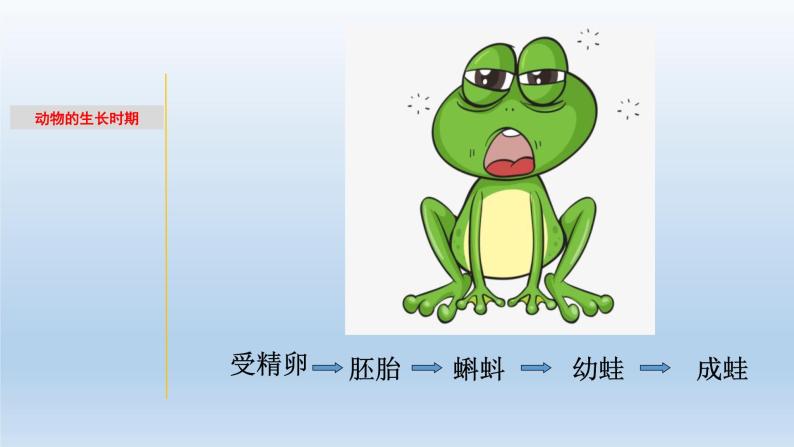 1.2 动物的生长时期-七年级科学下册知识点讲解与规律总结（浙教版）课件PPT03