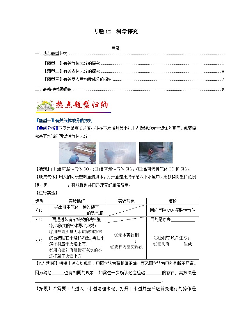 【江苏专用】2023年中考化学二轮重难点题型归纳与练习学案——专题12 科学探究 (原卷版+解析版)01