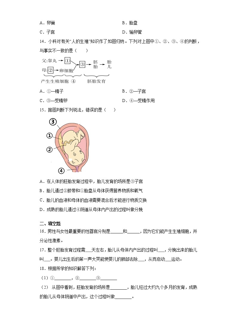 浙教版科学七年级下册同步练习 1.1 新生命的诞生（含答案解析）03