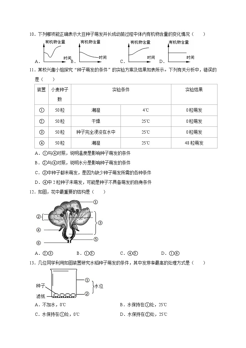 浙教版科学七年级下册同步练习 1.4植物的一生(含答案解析)03