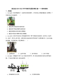 浙江省2020-2022年中考科学试题分类汇编——4绿色植物（含答案解析）