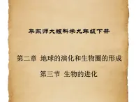 华东师大版科学九年级下册 第二章 第三节 生物进化 课件03