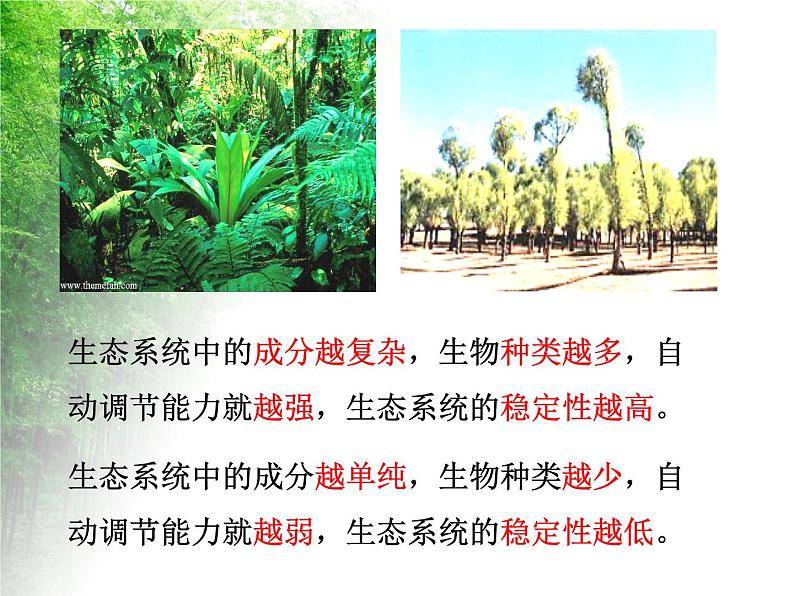 华东师大版科学九年级下册 第二章 第四节 生态平衡 课件0207