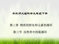 华东师大版科学九年级下册 第三章 第三节 自然界中的氮循环 课件