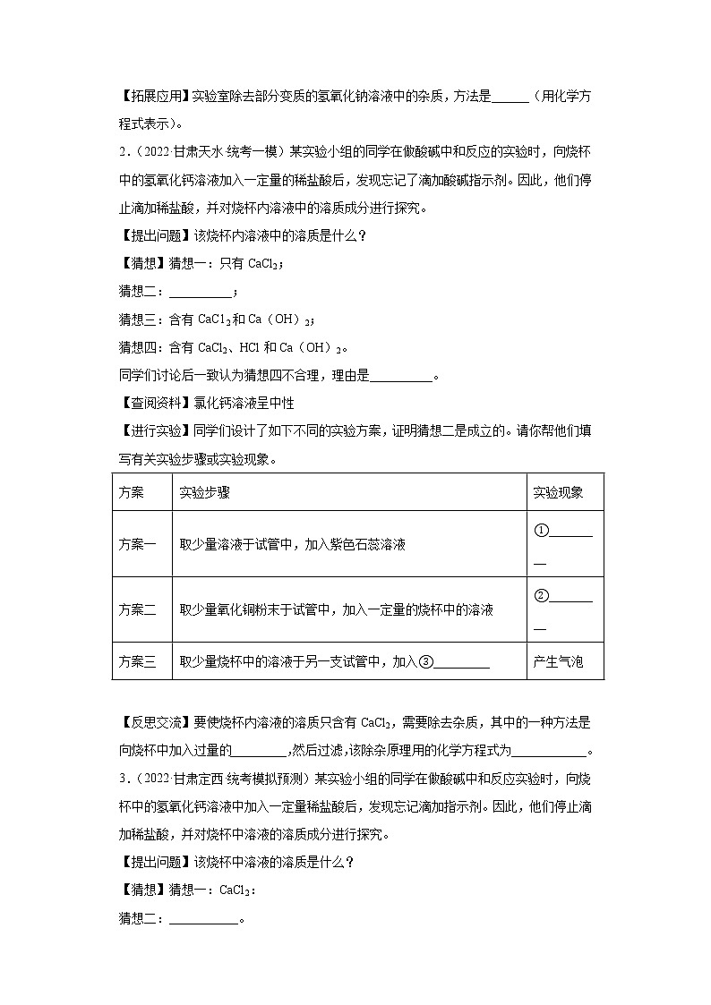 甘肃各地区2022年中考化学模拟(二模)试题汇编-科学探究题(提升题)第2页