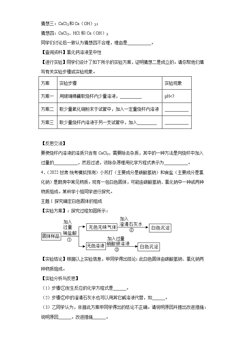 甘肃各地区2022年中考化学模拟(二模)试题汇编-科学探究题(提升题)第3页