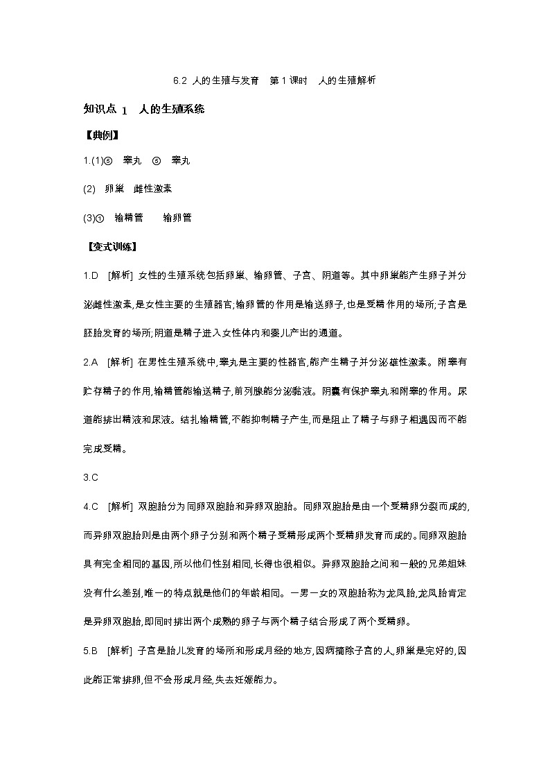 6.2 人的生殖与发育 第1课时 人的生殖-七年级科学下册华师大版精讲练01