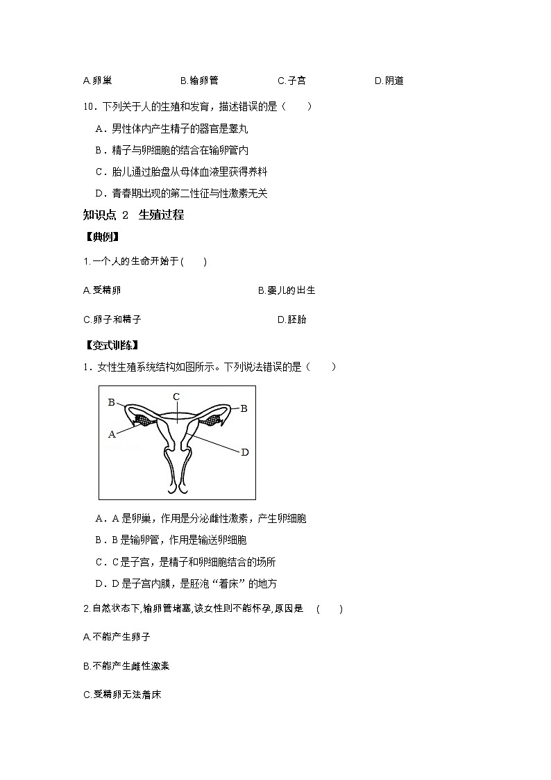 6.2 人的生殖与发育 第1课时 人的生殖-七年级科学下册华师大版精讲练03
