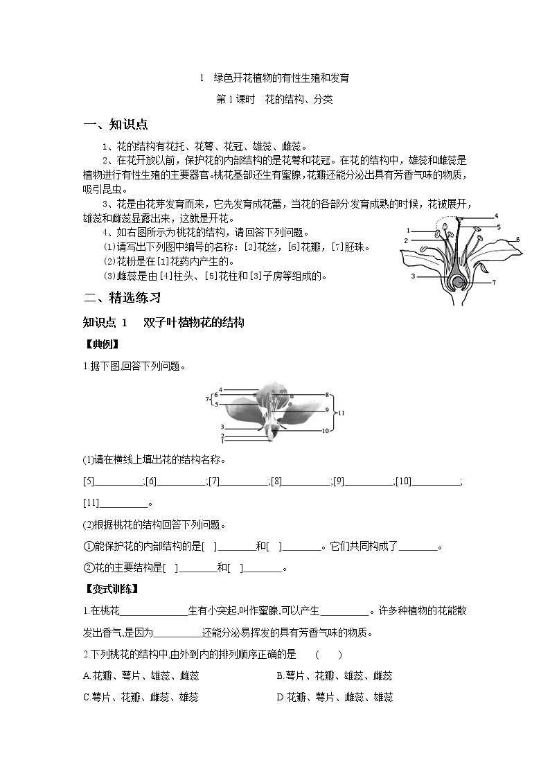 7.1 绿色开花植物的有性生殖和发育  第1课时　花的结构、分类-七年级科学下册华师大版精讲练01