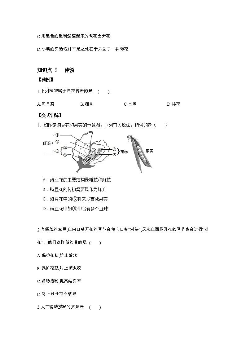7.1 綠色開花植物的有性生殖和發(fā)育  第2課時　開花、傳粉和受精講義第2頁