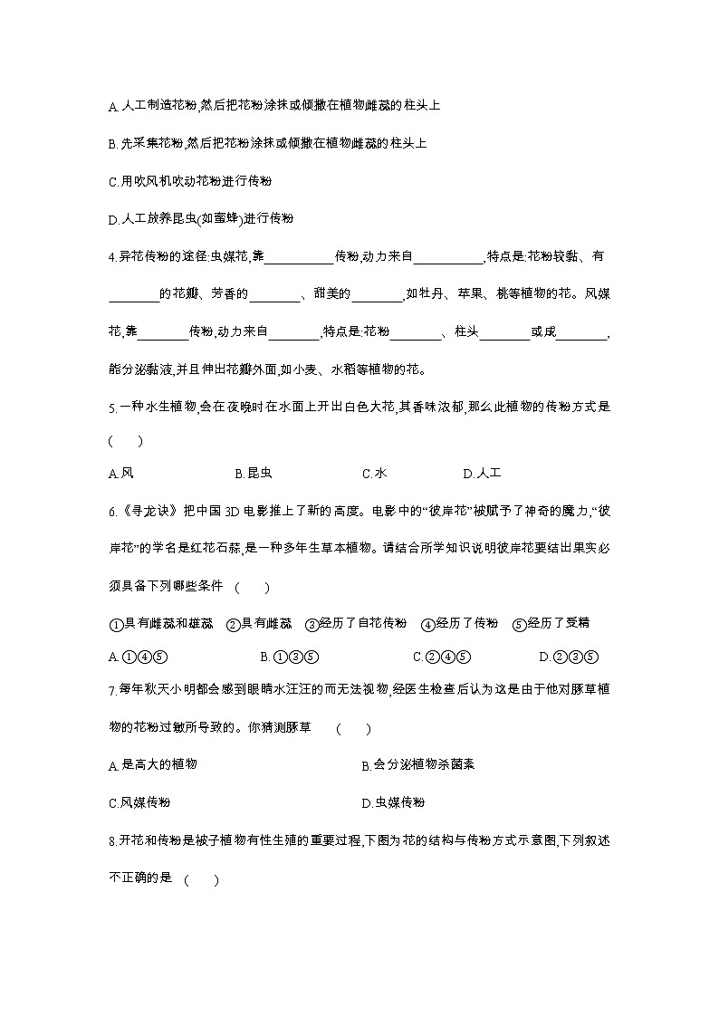7.1 綠色開花植物的有性生殖和發(fā)育  第2課時　開花、傳粉和受精講義第3頁