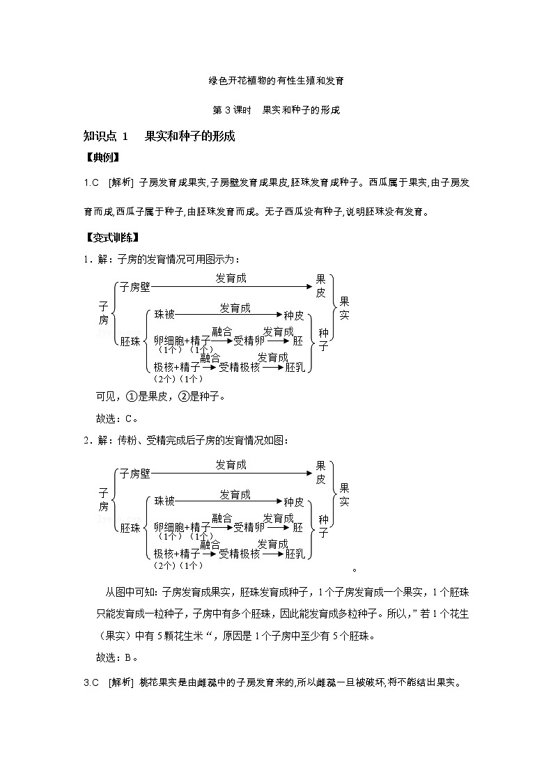 7.1 绿色开花植物的有性生殖和发育 第3课时 果实和种子的形成解析第1页