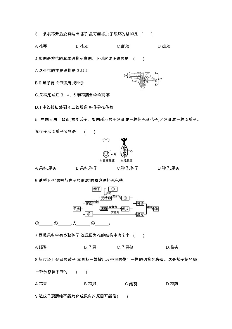 7.1 绿色开花植物的有性生殖和发育 第3课时 果实和种子的形成讲义第2页