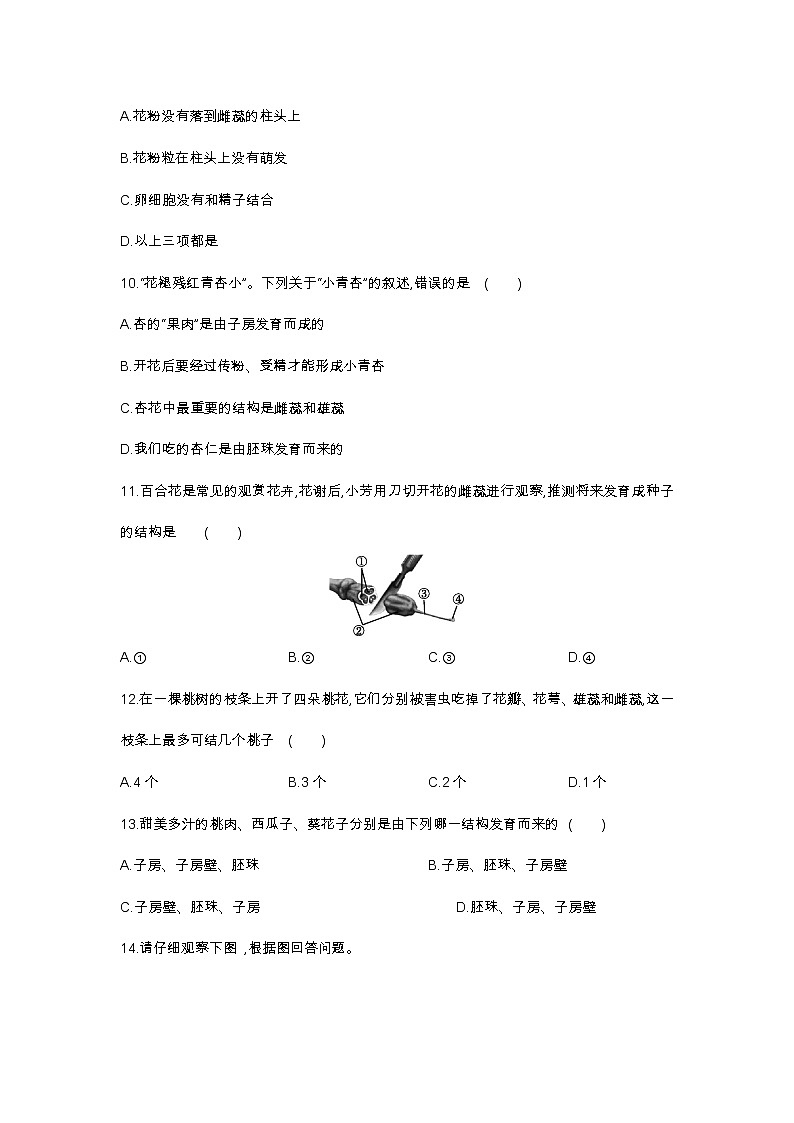 7.1 绿色开花植物的有性生殖和发育 第3课时 果实和种子的形成讲义第3页