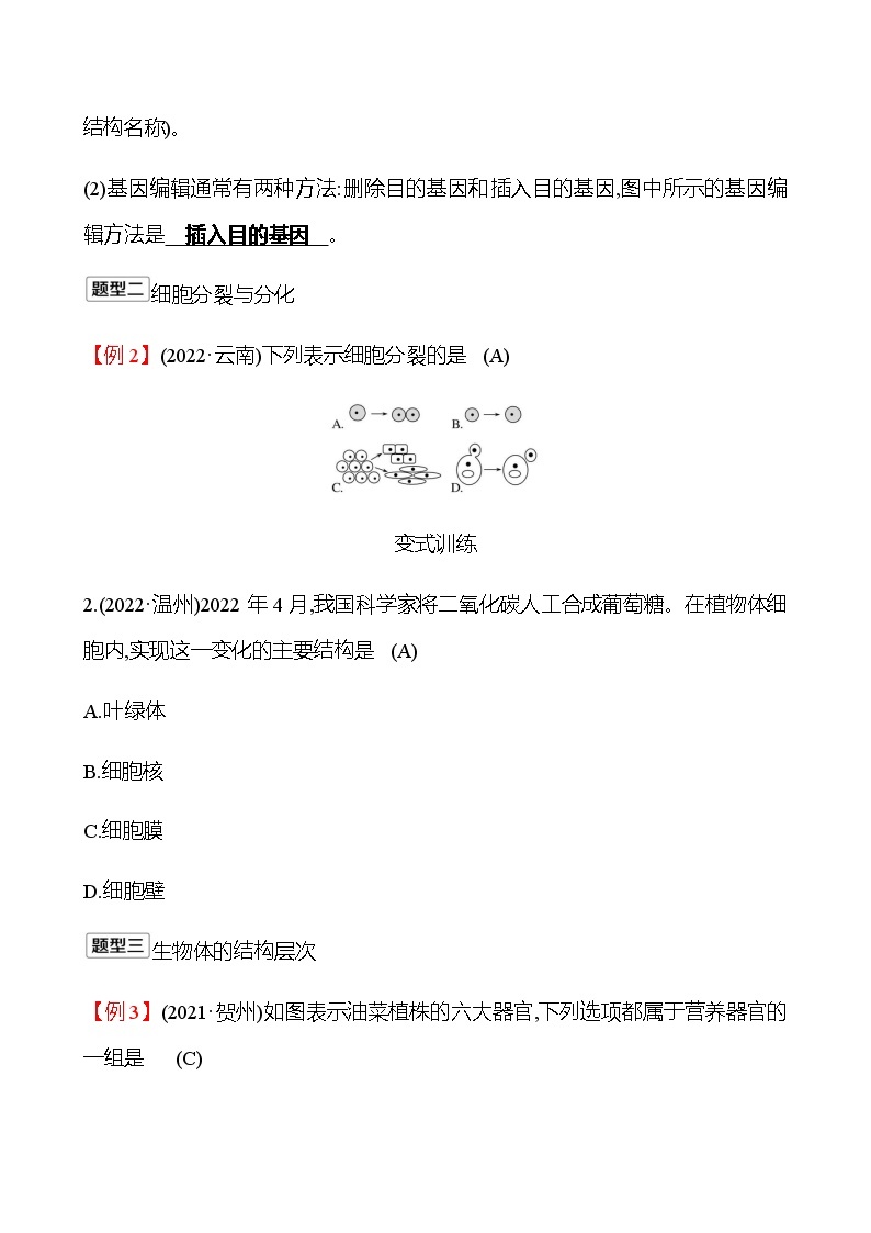 2023年浙江省初中科学 一轮复习 第一部分  第2讲　构成生物体的细胞、组织、器官和系统 专题练习02