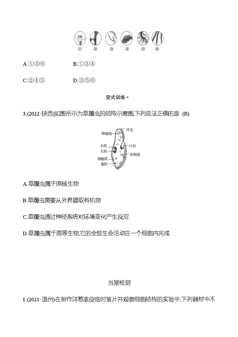 2023年浙江省初中科学 一轮复习 第一部分  第2讲　构成生物体的细胞、组织、器官和系统 专题练习03