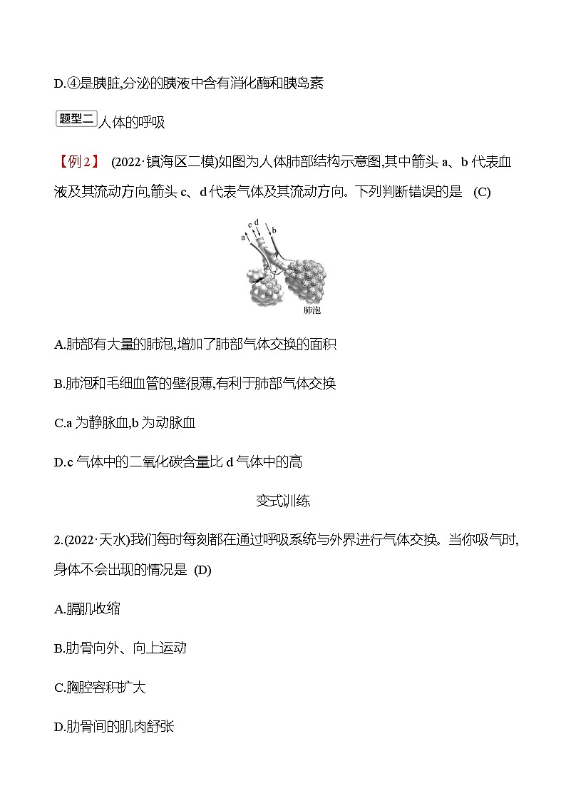2023年浙江省初中科学 一轮复习 第一部分 第6讲 人体的物质和能量转换(1) 专题练习(教师版) 第2页
