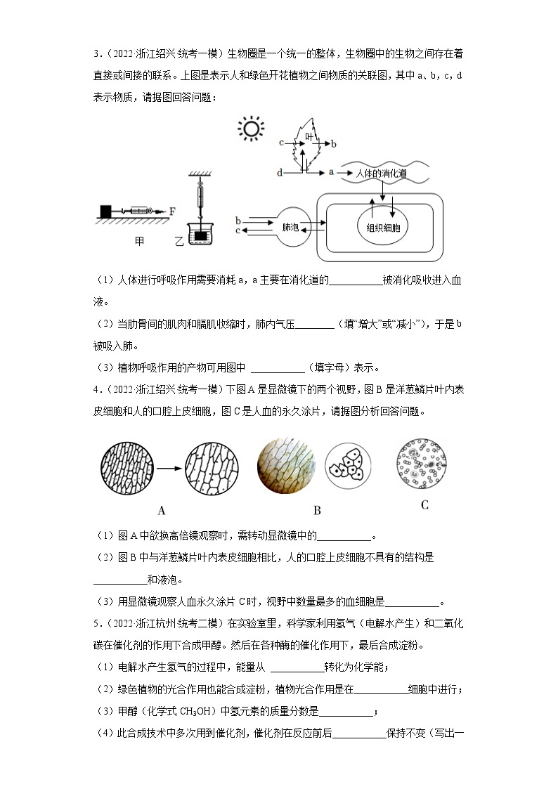 浙江省2022年中考科学模拟题汇编-13人体的新陈代谢（填空题、探究题）02