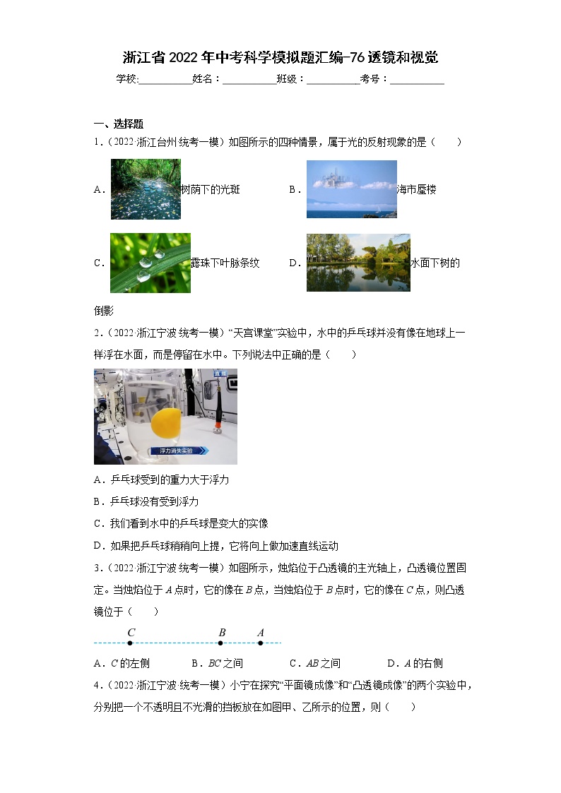 浙江省2022年中考科学模拟题汇编-76透镜和视觉