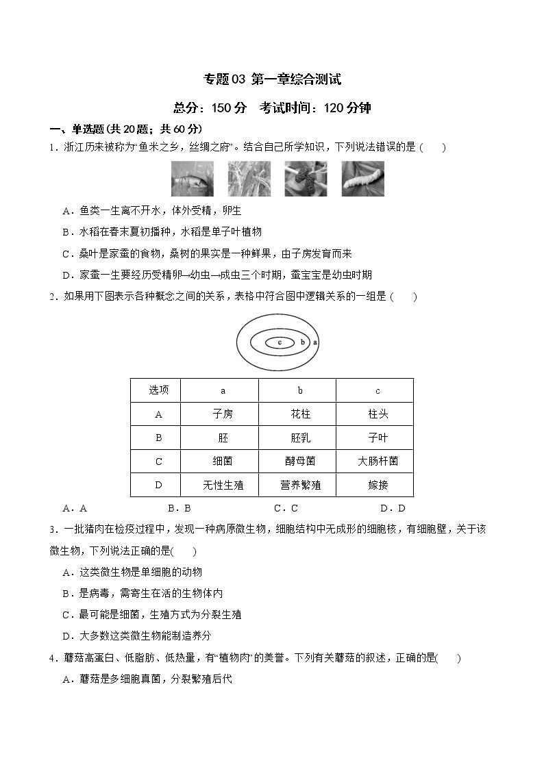 2022-2023年浙教版科学七年级下册专题复习精讲精练：专题03 第一章综合测试01