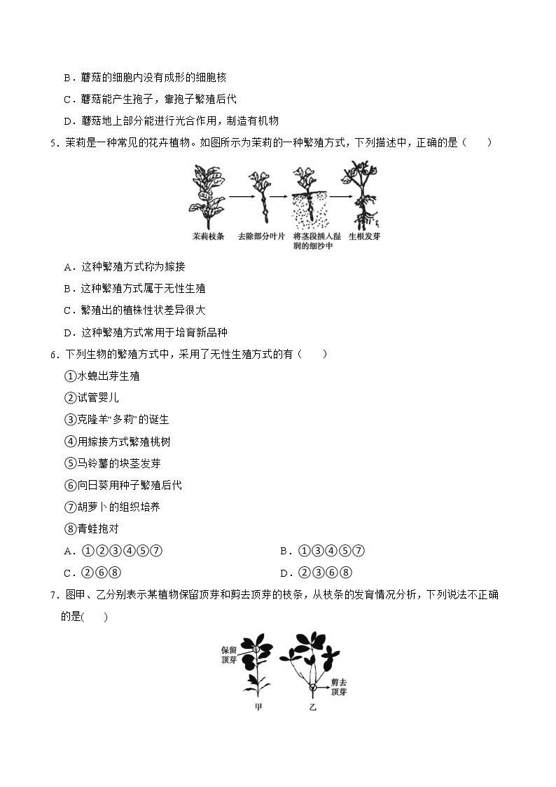 2022-2023年浙教版科学七年级下册专题复习精讲精练：专题03 第一章综合测试02