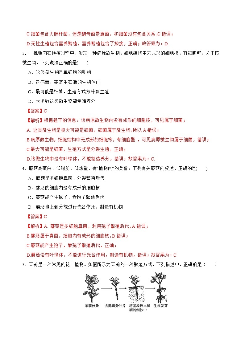 2022-2023年浙教版科学七年级下册专题复习精讲精练：专题03 第一章综合测试02