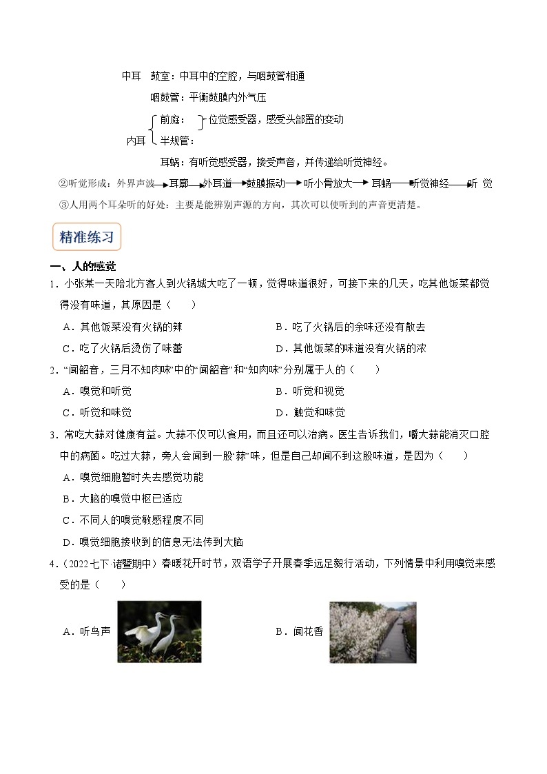 2022-2023年浙教版科学七年级下册专题复习精讲精练：专题04 感觉、声音与耳03