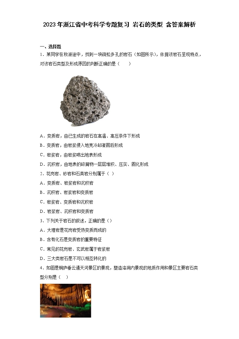 2023年浙江省中考科学专题复习 岩石的类型（含解析）