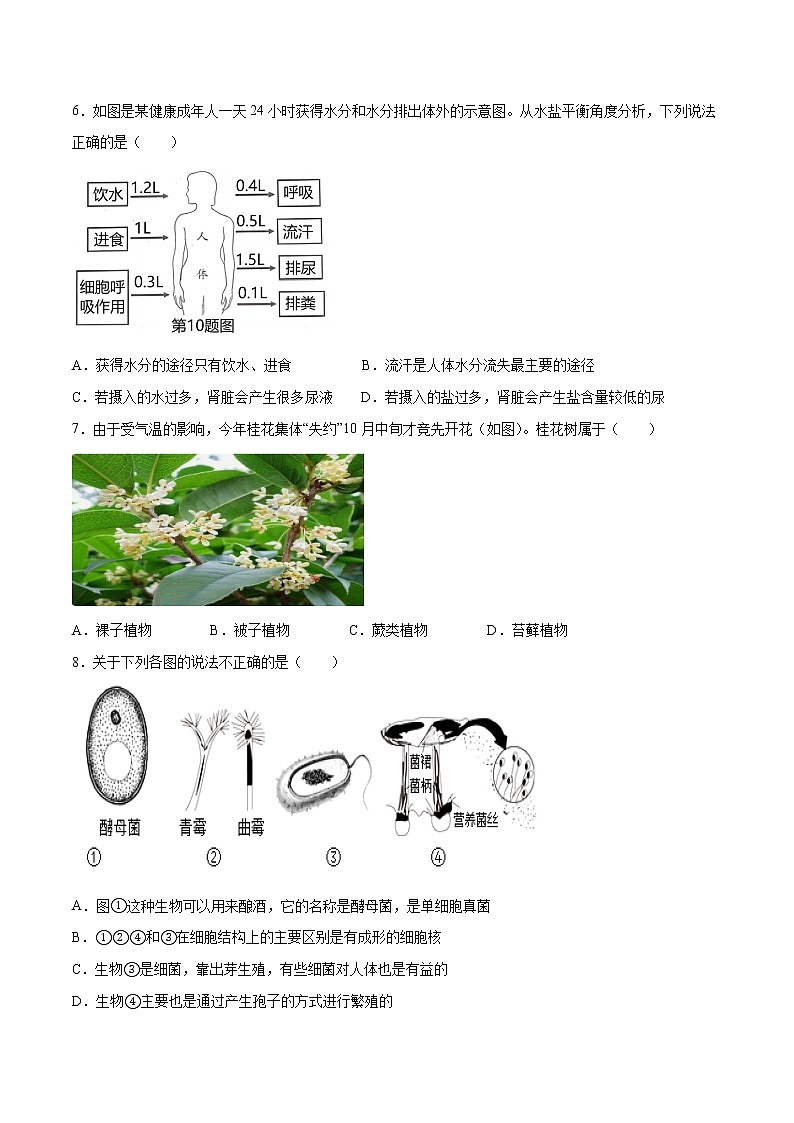 科学(浙江杭州卷)学易金卷:2023年中考第三次模拟考试卷03
