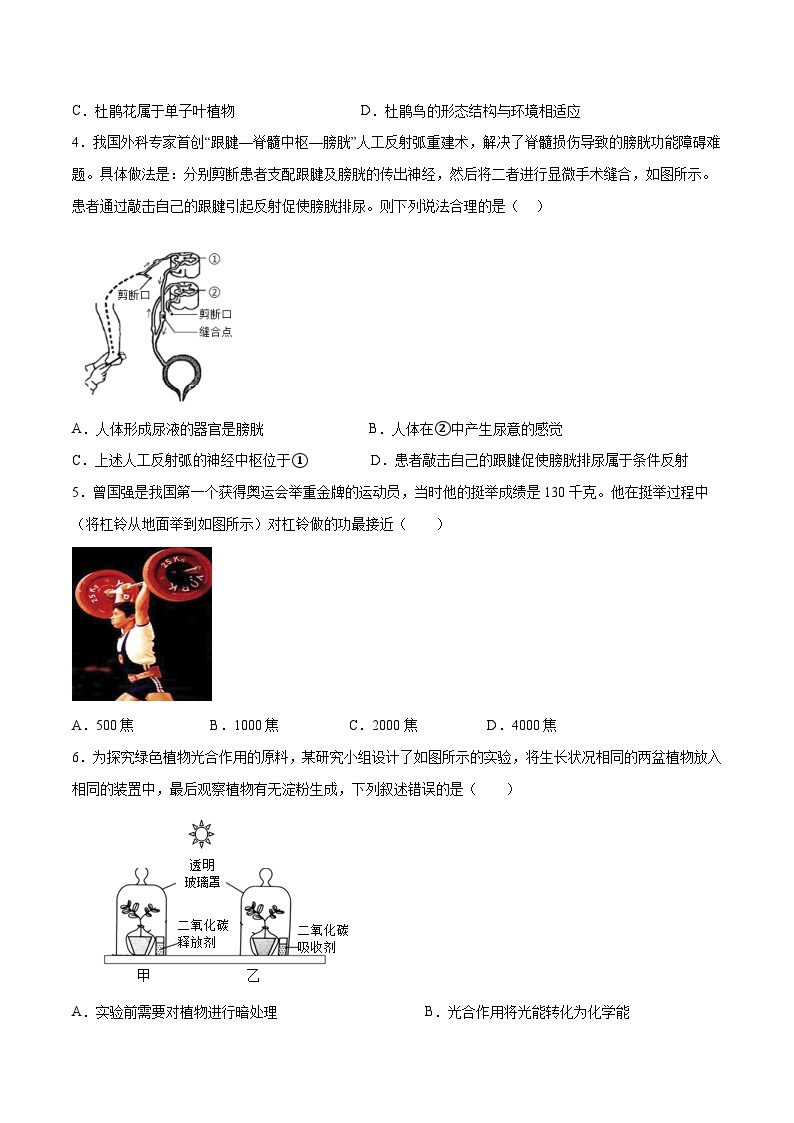 科学（浙江杭州卷）-学易金卷：2023年中考考前押题密卷（含考试版、全解全析、参考答案、答题卡）02